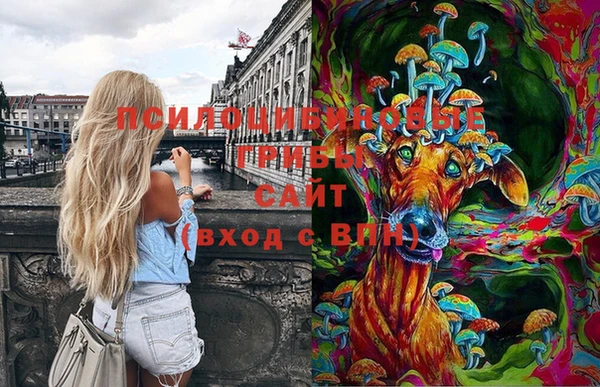 a pvp Чекалин