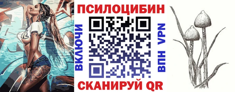 Купить закладки  Махачкала  Галлюциногенные грибы прущие грибы 